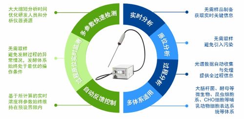 技术课堂 部署原位拉曼光谱实现生物过程的可视化