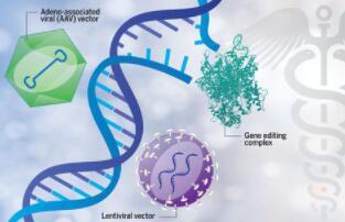 一家开发创新基因治疗方法的生物技术公司获得3100万欧元的种子融资